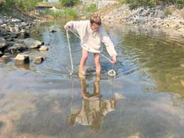 Student collecting specimens in water